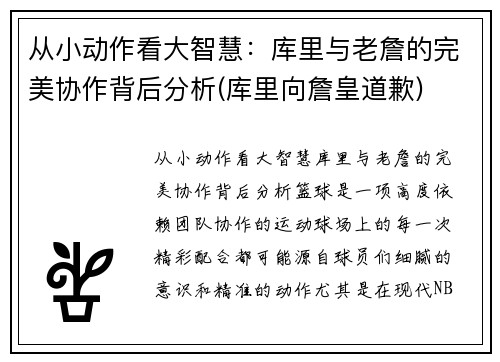 从小动作看大智慧：库里与老詹的完美协作背后分析(库里向詹皇道歉)